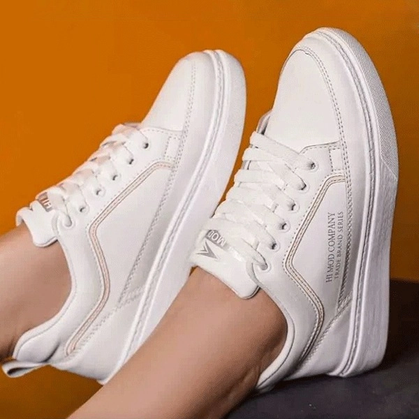 گالری تصویر 6